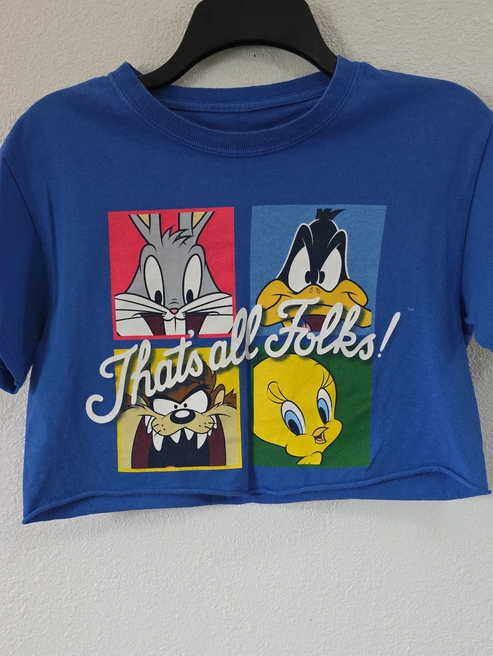 Looney Tunes "That's All Folks!" Character Grid Royal Blue Crop Top - Jrs S